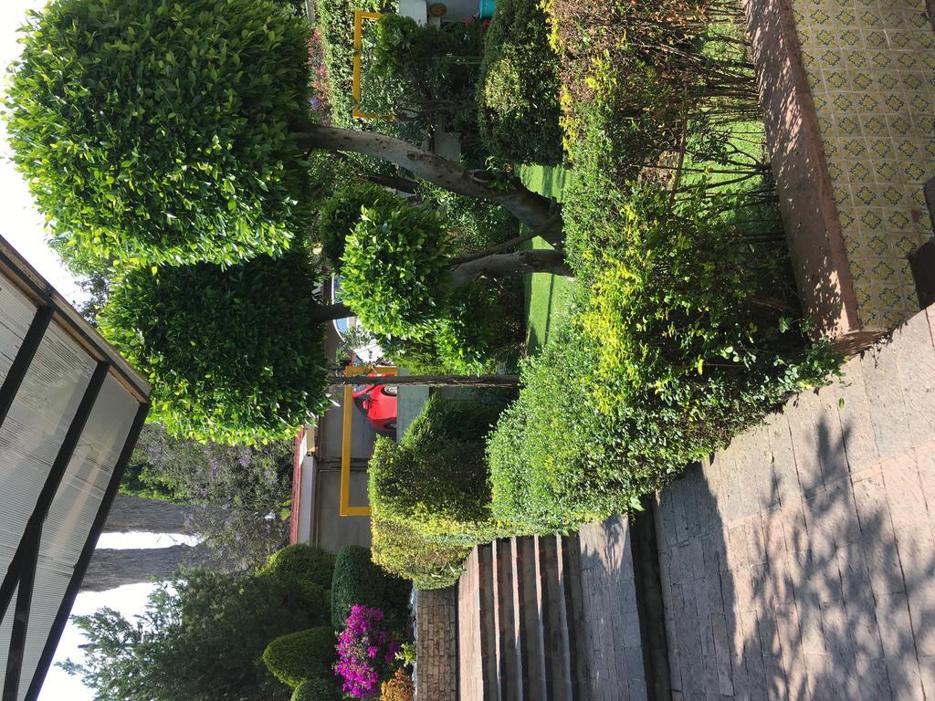 Grupo Kings Suites - Bosque De Duraznos 72 Mexico City Ngoại thất bức ảnh